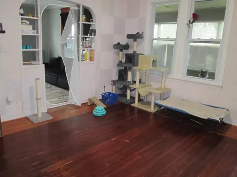1201 Grattan St, Chicopee, MA 01013 photo 5