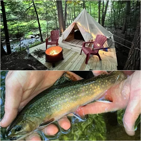 23 Conway Rd, Whately, MA 01093 photo 4