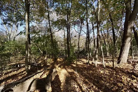 Other - 2 Thaxter Rd, Newton, MA 02460 photo 4 of 4