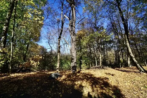 Exterior - 2 Thaxter Rd, Newton, MA 02460 photo 1 of 8