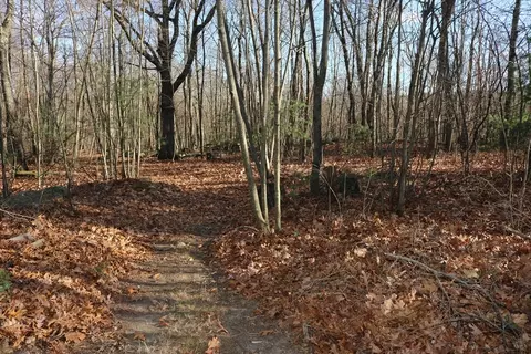 Exterior - 30 Southwick Rd, Sutton, MA 01590 photo 3 of 3