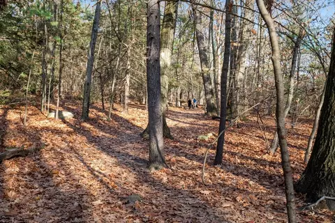 86 Abbott Rd, Wellesley, MA 02481 photo 37