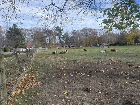 Other - 1789 Broadway, Raynham, MA 02767 photo 3 of 4