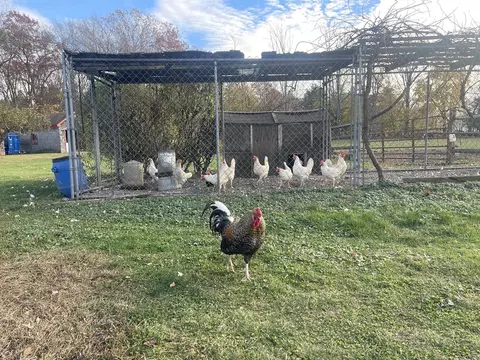 Exterior - 1789 Broadway, Raynham, MA 02767 photo 8 of 10