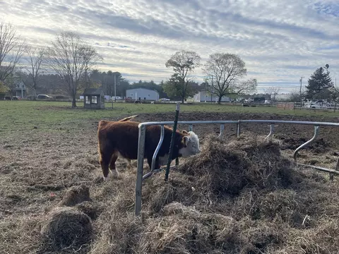 Other - 1789 Broadway, Raynham, MA 02767 photo 2 of 4