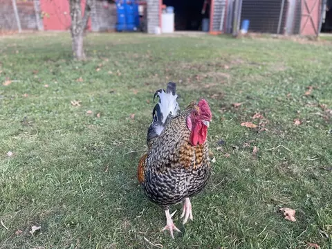 Other - 1789 Broadway, Raynham, MA 02767 photo 1 of 4