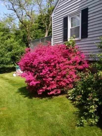 Exterior - 48 Sunset Dr, Beverly, MA 01915 photo 11 of 11