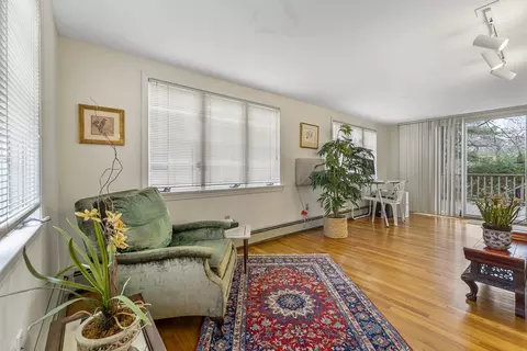 125 Tower Ave, Needham, MA 02494 photo 18