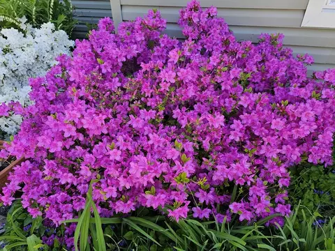 Other - 29 Pilgrim Rd, Springfield, MA 01118 photo 9 of 9