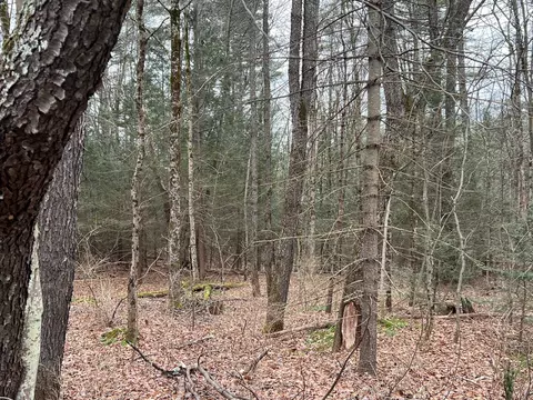 0 Dana Rd, Barre, MA 01005 photo 3