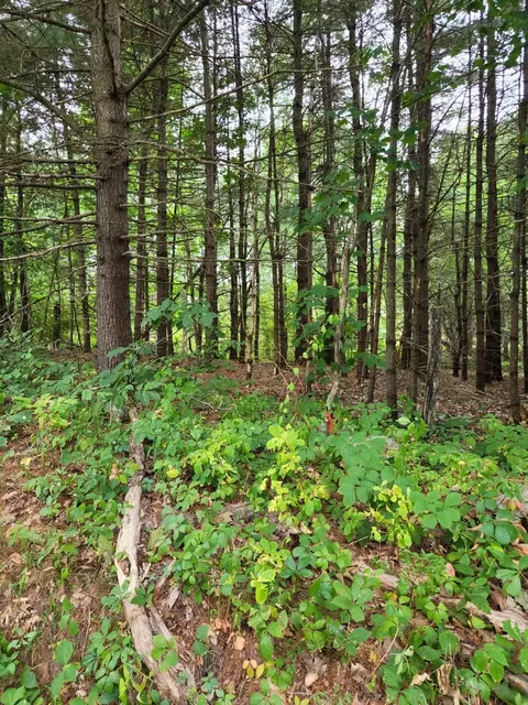 0 King Rd, Charlton, MA 01507