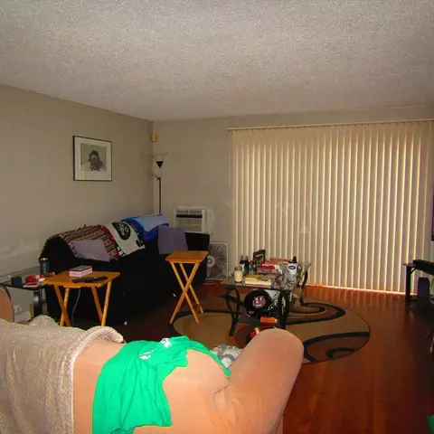 8 Webster Ct #8, Amherst, MA 01002 photo 7