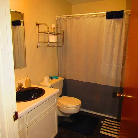 8 Webster Ct #8, Amherst, MA 01002 photo 8