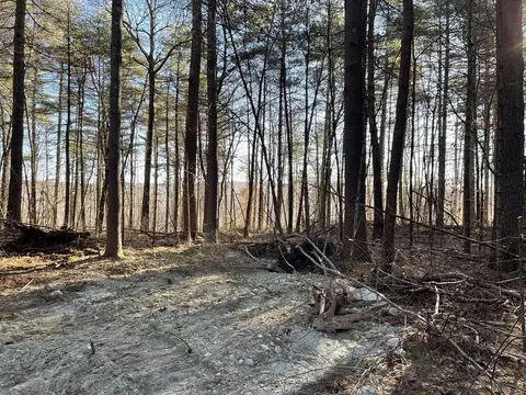 lot38 A29 Michael Sears, Belchertown, MA 01007