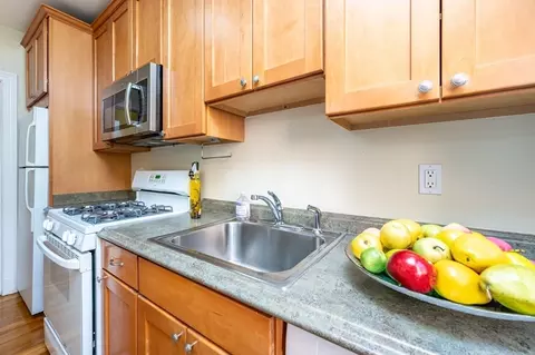 46 Chiswick Rd #5, Boston, MA 02135 photo 9