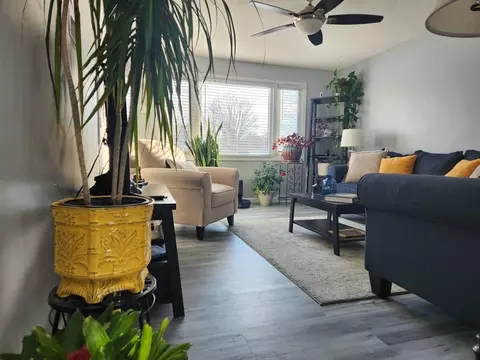 99 White Birch Dr, Springfield, MA 01119
