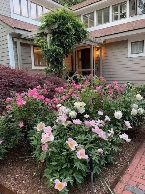 Exterior - 9 Benjamin Pl #9, Chestnut Hill, MA 02467 photo 3 of 5