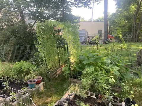 13 Lincoln St, Canton, MA 02021 photo 33