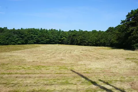 10 Over Jordan Rd, Wareham, MA 02571 photo 5