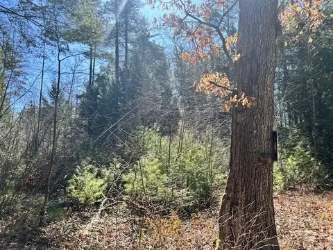 0 Neale Rd, Royalston, MA 01368