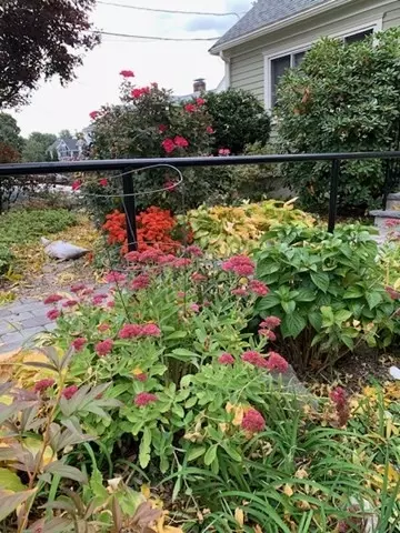 512 Appleton St, Arlington, MA 02476 photo 39