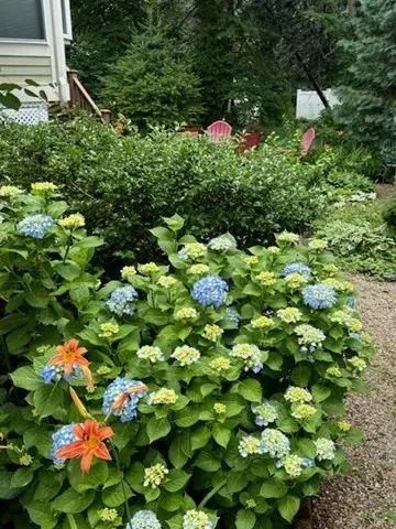512 Appleton St, Arlington, MA 02476 photo 38