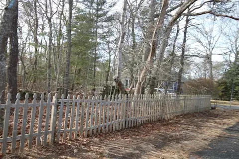 41 Pine Crst, Barnstable, MA 02632 photo 7
