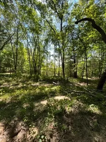 100 Forest Rd, Salisbury, MA 01952 photo 13
