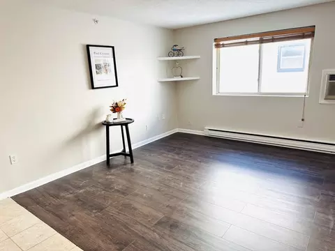 Living - 222 Stackpole St #12, Lowell, MA 01852 photo 2 of 3