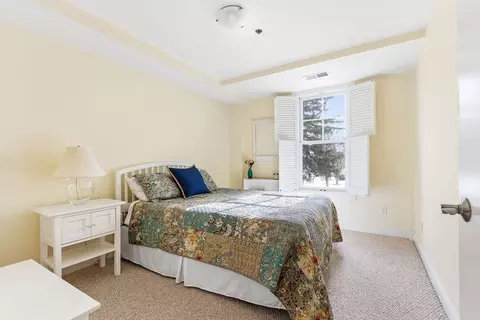 1110 Great Plain Ave #1, Needham, MA 02492 photo 20