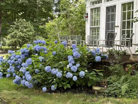 Exterior - 727 Main St, Hingham, MA 02043 photo 12 of 15