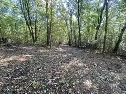 75 Salisbury St #LOT 12, Rehoboth, MA 02769