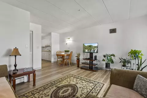 Living - 881 Broadway #38, Everett, MA 02149 photo 3 of 3