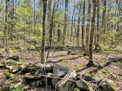 lot13 Skyline, Chester, MA 01011