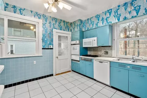 187 Clark Rd, Brookline, MA 02445 photo 26