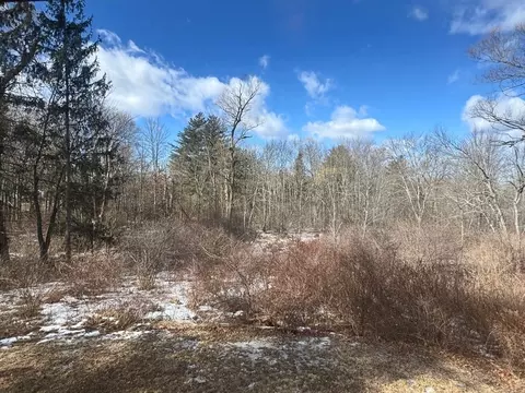 185 Middle St, Amherst, MA 01002 photo 33