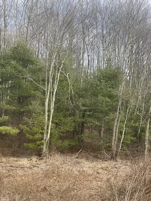 65 Birch Hill Rd, West Brookfield, MA 01585