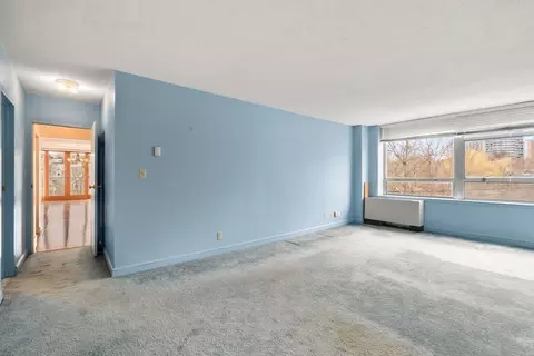 80 Park St #22, Brookline, MA 02446 photo 23