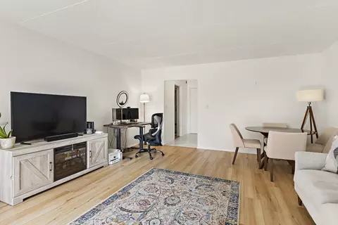 50-56 Broadlawn Park #207, Chestnut Hill, MA 02467
