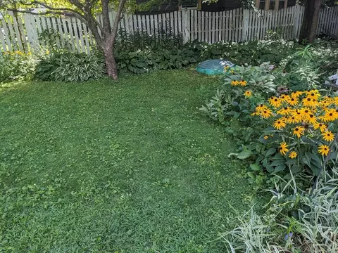 Exterior - 53 Eckington St, Springfield, MA 01108 photo 8 of 11