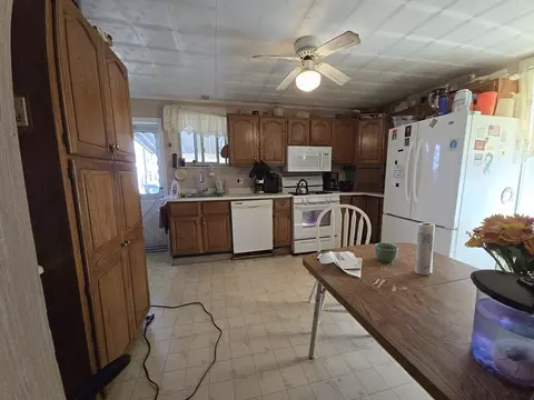 5 Ferdinand, Worcester, MA 01603 photo 11