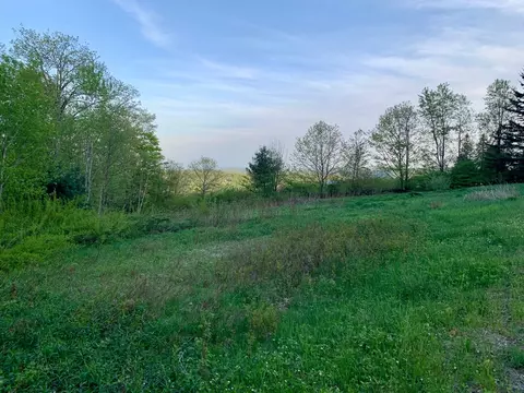 0 Ed Clark Rd #LOT 61, Colrain, MA 01340