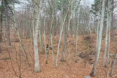 70 Macarthur Rd, Northbridge, MA 01534 photo 38