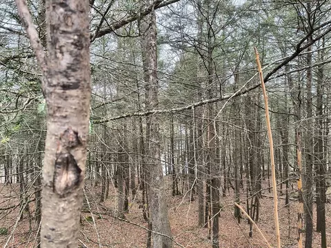 lot8 Park Rdg, Huntington, MA 01050
