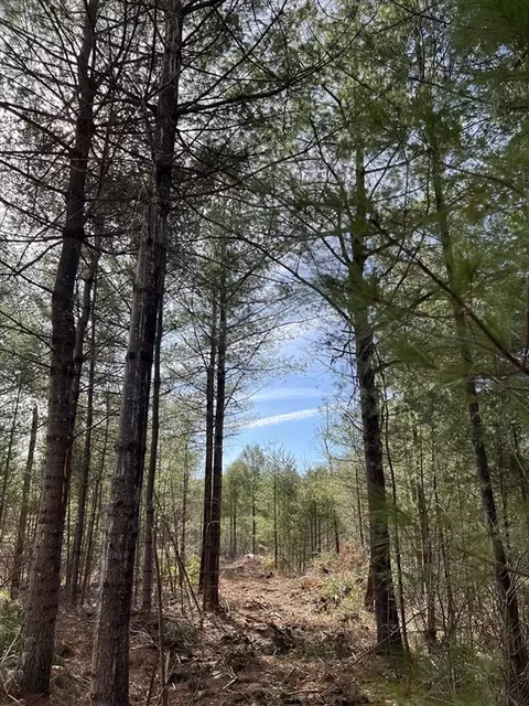 lot5 A Munsell St, Belchertown, MA 01007