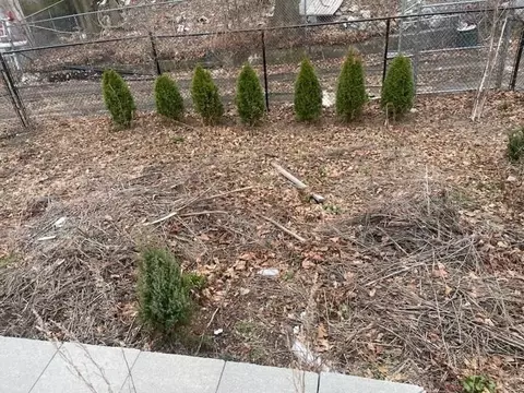 Exterior - 18 Derne St, Everett, MA 02149 photo 6 of 8