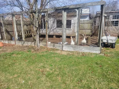 528 Lawton St, Fall River, MA 02721 photo 22