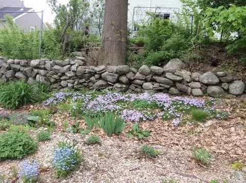 Exterior - 21 Leslie Rd, Worcester, MA 01605 photo 11 of 13
