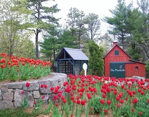 11 Pine Cobble, Plymouth, MA 02360
