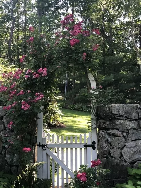 883 High, Dedham, MA 02026 photo 38